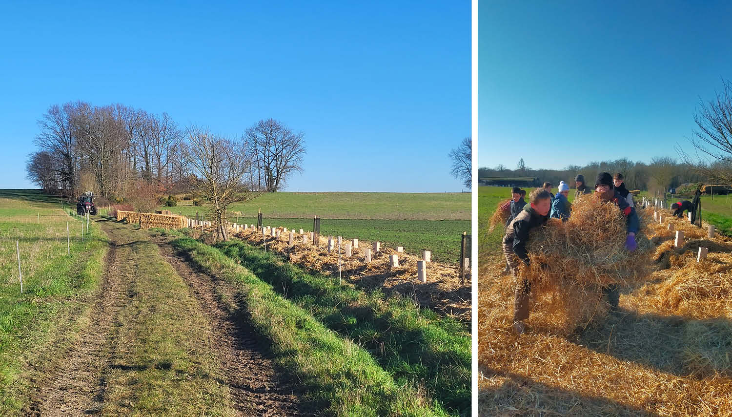 Plantations de haies en Dordogne : un grand merci à tous !